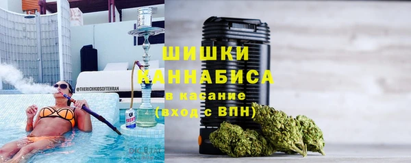 шишки Горно-Алтайск