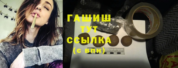 шишки Горно-Алтайск