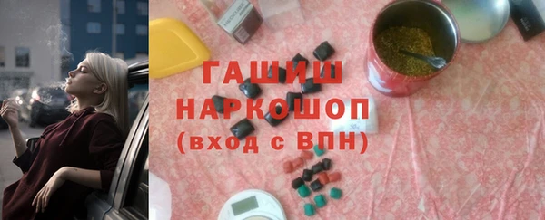шишки Горно-Алтайск