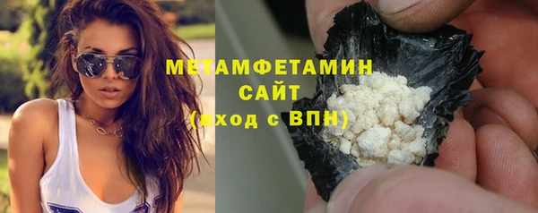 шишки Горно-Алтайск