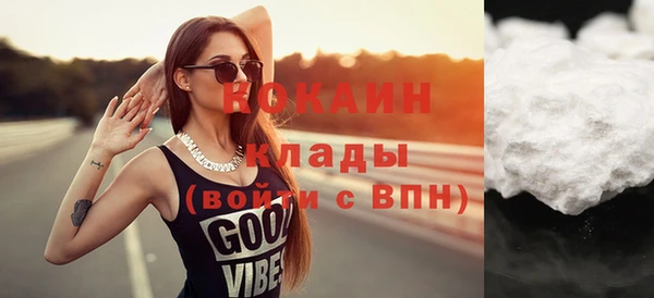 шишки Горно-Алтайск