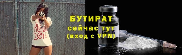 шишки Горно-Алтайск