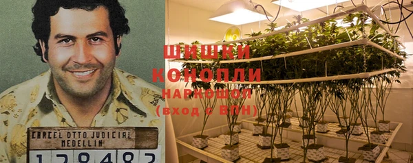 шишки Горно-Алтайск