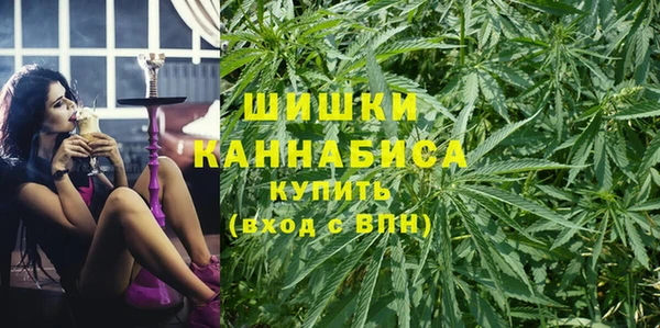 шишки Горно-Алтайск