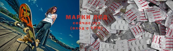 шишки Горно-Алтайск