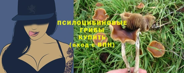 героин Горняк