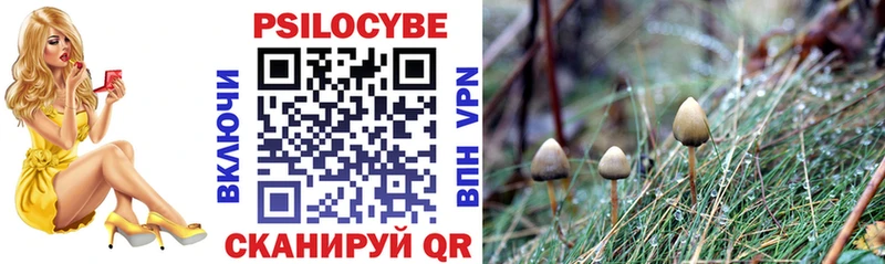 Галлюциногенные грибы Psilocybe  Заволжье 